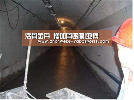 活骨金丹 增加骨密度|亚博(图3) 亚博